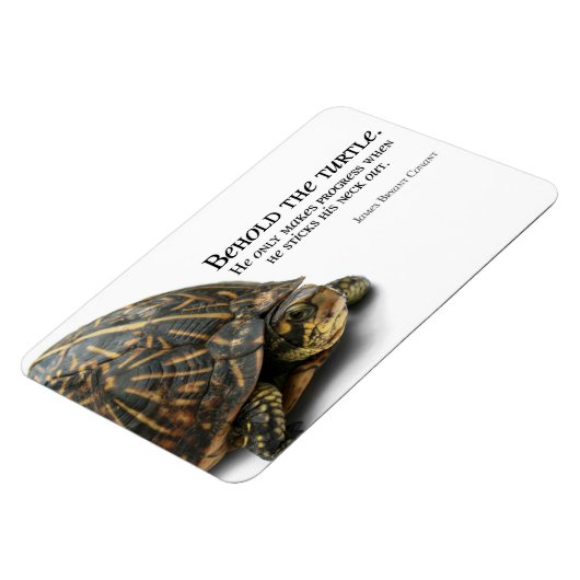 進行 マグネット (左側)