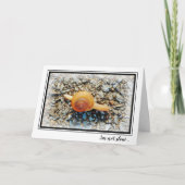 遅いおもしろい誕生日カードとカタツムリ カード (正面)