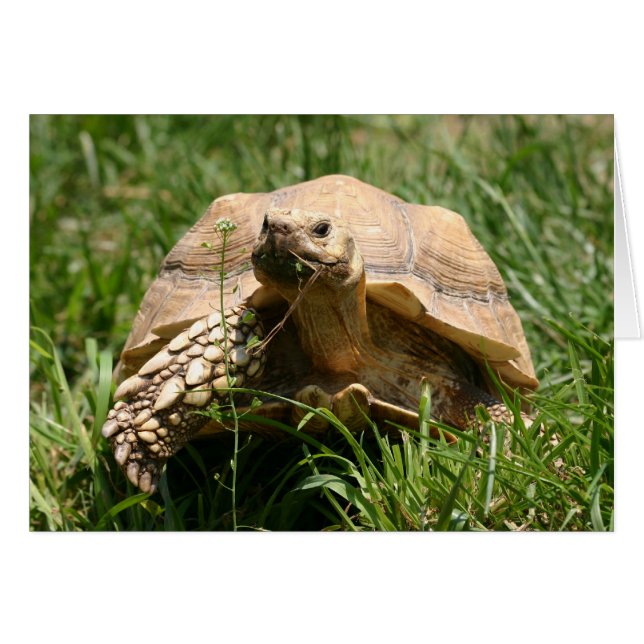 遅いが安定している (正面横)