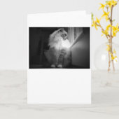 遅い日、カード カード (黄色い花)