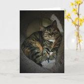 遅い日、カード カード (黄色い花)