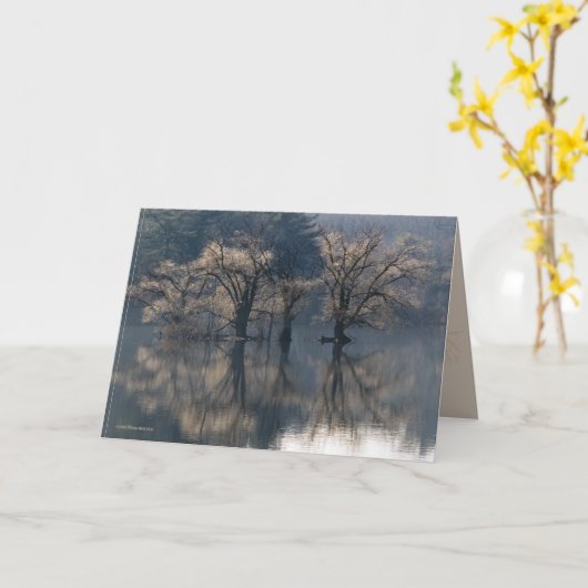 遅い秋の島の反射 カード (黄色い花)