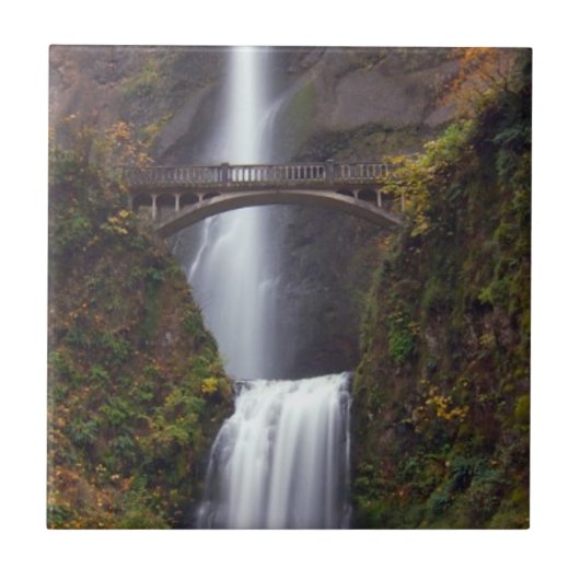 遅い秋のMultnomahの滝 タイル (正面)