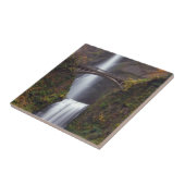 遅い秋のMultnomahの滝 タイル (側面)