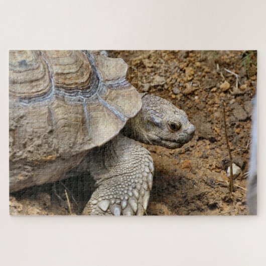 遅い ジグソーパズル (横)