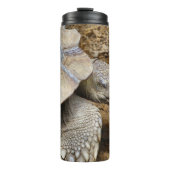 遅い タンブラー (正面)