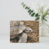 遅い ポストカード (スタンド正面)