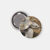 遅い マグネット (正面/裏面)