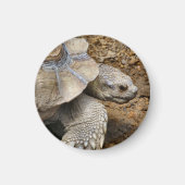 遅い マグネット (正面)