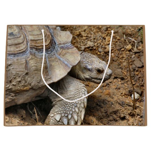 遅い ラージペーパーバッグ (正面)