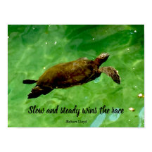 遅く着実に勝つ