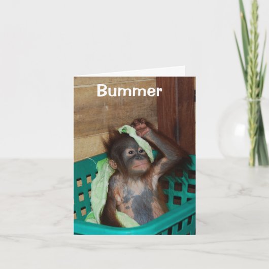 遅れたハッピーバースデーごめんなさい カード (正面)