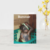 遅れたハッピーバースデーごめんなさい カード (黄色い花)