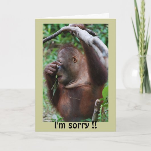 遅れたハッピーバースデー カード (正面)