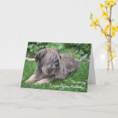 遅れたバースデーカードの毛むくじゃらの犬 カード (黄色い花)