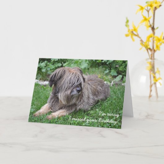 遅れたバースデーカードの毛むくじゃらの犬 カード (黄色い花)
