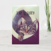 遅れた申し訳ないグレー虎猫子猫プレースホルダフォト カード (正面)