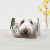 遅れた誕生日カード – いいえ、そう言わない カード (黄色い花)