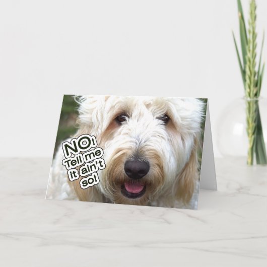 遅れた誕生日カード – いいえ、そう言わない カード (正面)