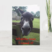 遅れた誕生日カード カード (正面)