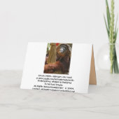 遅れた誕生日ユーモアのある、 カード (裏面)