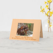 遅れた誕生日ユーモアのある、 カード (黄色い花)