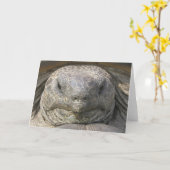 遅れた誕生日 カード (黄色い花)