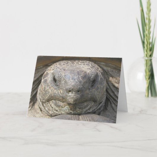 遅れた誕生日 カード (正面)