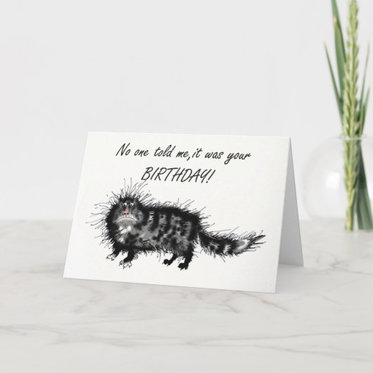 遅れた誕生日、不機嫌な猫。 カード (正面)