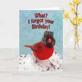 遅れた誕生日 – 何?お忘れ前の誕生日! カード (黄色い花)