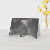 遅れてバースデー・カード カード (黄色い花)