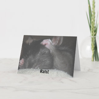 遅れてバースデー・カード カード