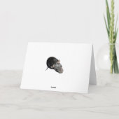 遅れてバースデー・カード カード (裏面)