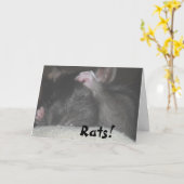 遅れてバースデー・カード カード (黄色い花)