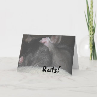 遅れてバースデー・カード カード