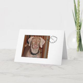 遅れて誕生日の挨拶状 カード