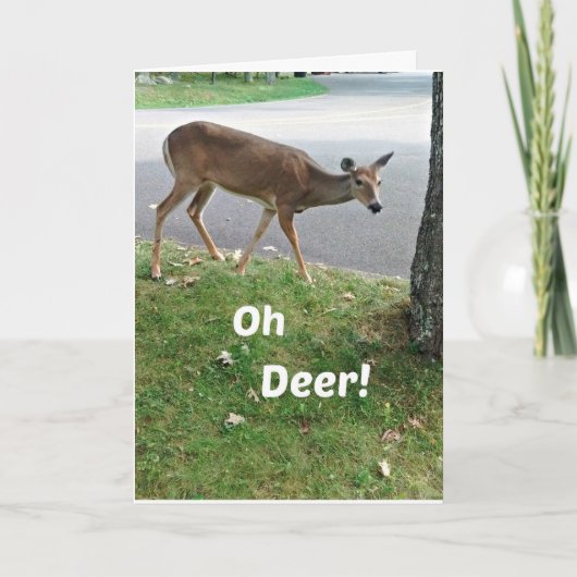 遅れユーモアのあるた誕生日の願い カード (正面)