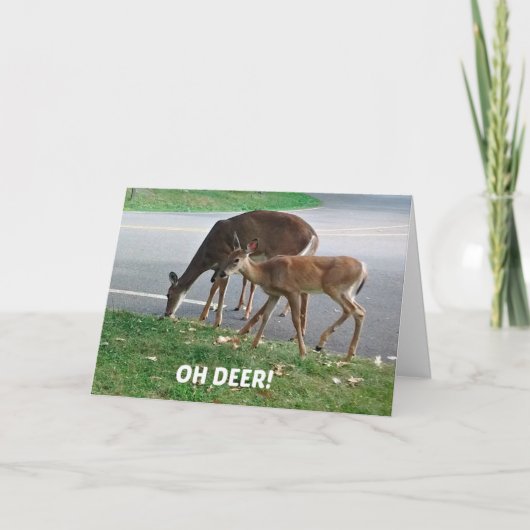 遅れユーモアのあるた誕生日の願い カード (正面)