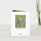 遅れ恋しく思た誕生日を後悔 – rats カード (裏面)