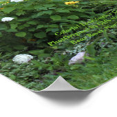 遅カラフルく威厳があるガーデン！ ポスター (角)