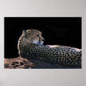 遅延日 ポスター (正面)