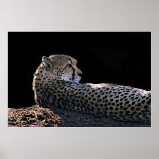 遅延日 ポスター