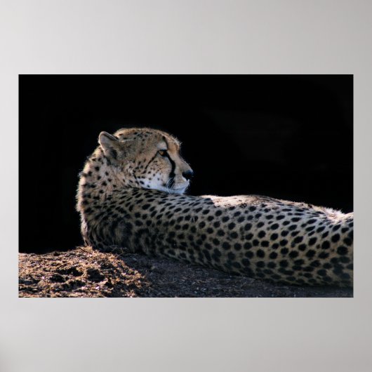 遅延日 ポスター (正面)