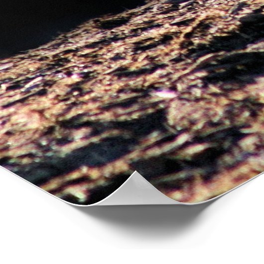 遅延日 ポスター (角)