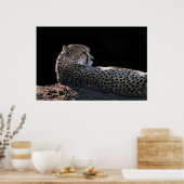 遅延日 ポスター (キッチン)