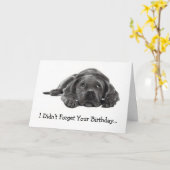 遅延誕生日:違忘れう:怠け者、犬 カード (黄色い花)