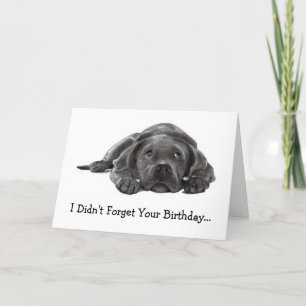 遅延誕生日:違忘れう:怠け者、犬 カード