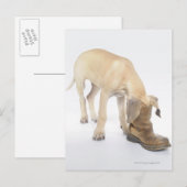 遊のフレンドリー好奇心 ポストカード (正面/裏面)