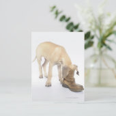 遊のフレンドリー好奇心 ポストカード (スタンド正面)