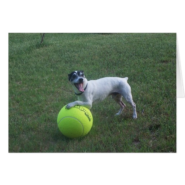 遊びたいと思って下さいか。 (正面横)